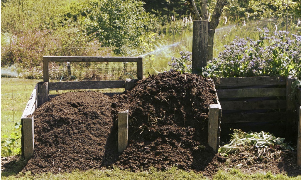 composting stages